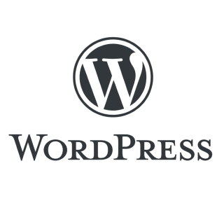 WordPress API Module